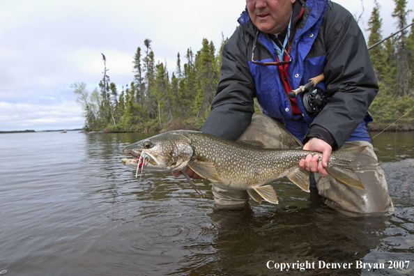 Flyfisherman with lake trout.