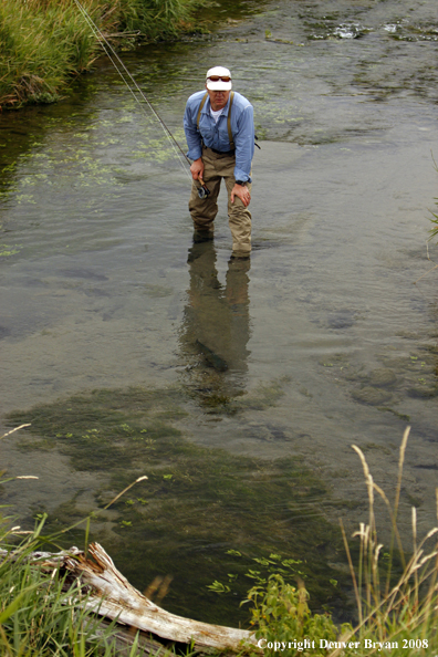 Flyfisherman releasing brown trout