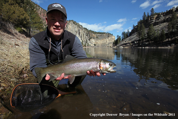 Flyfisherman with nice rainbow trout