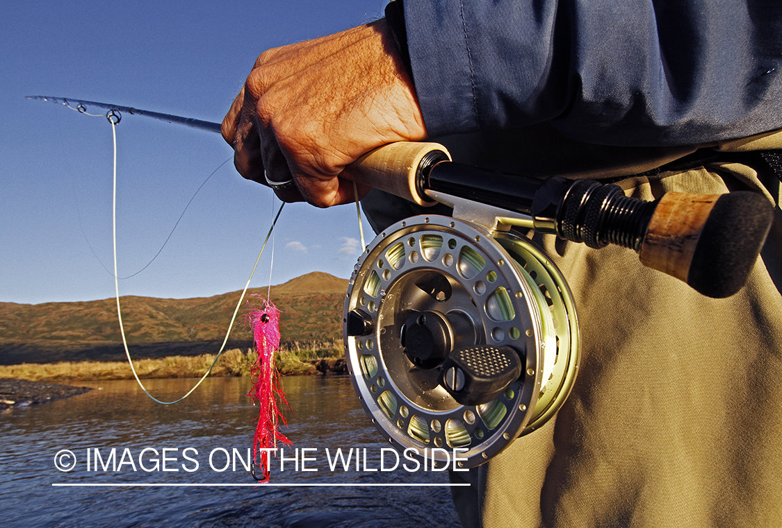 Flyfisherman fishing for Silver Salmon, in Alaska.