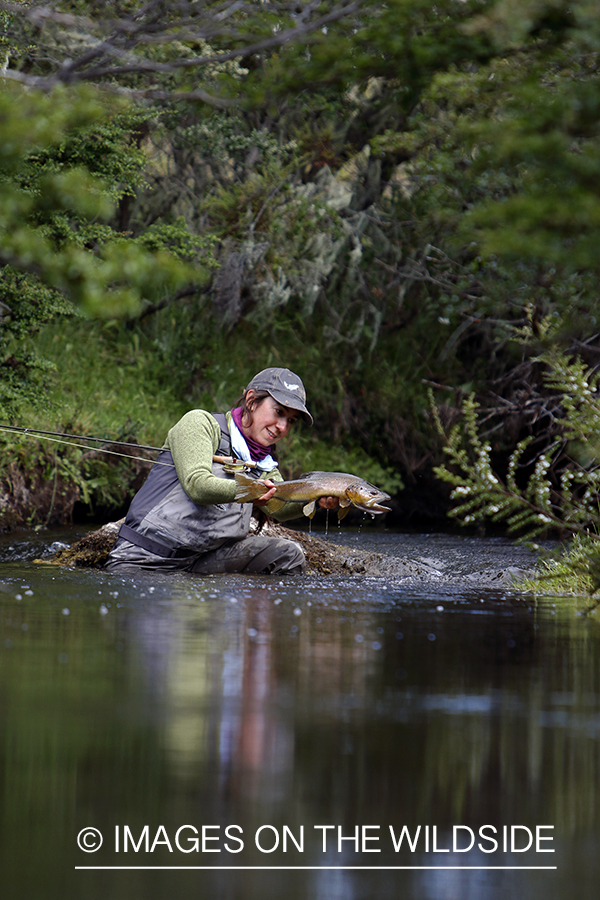 Flyfishing woman releasing brown trout.