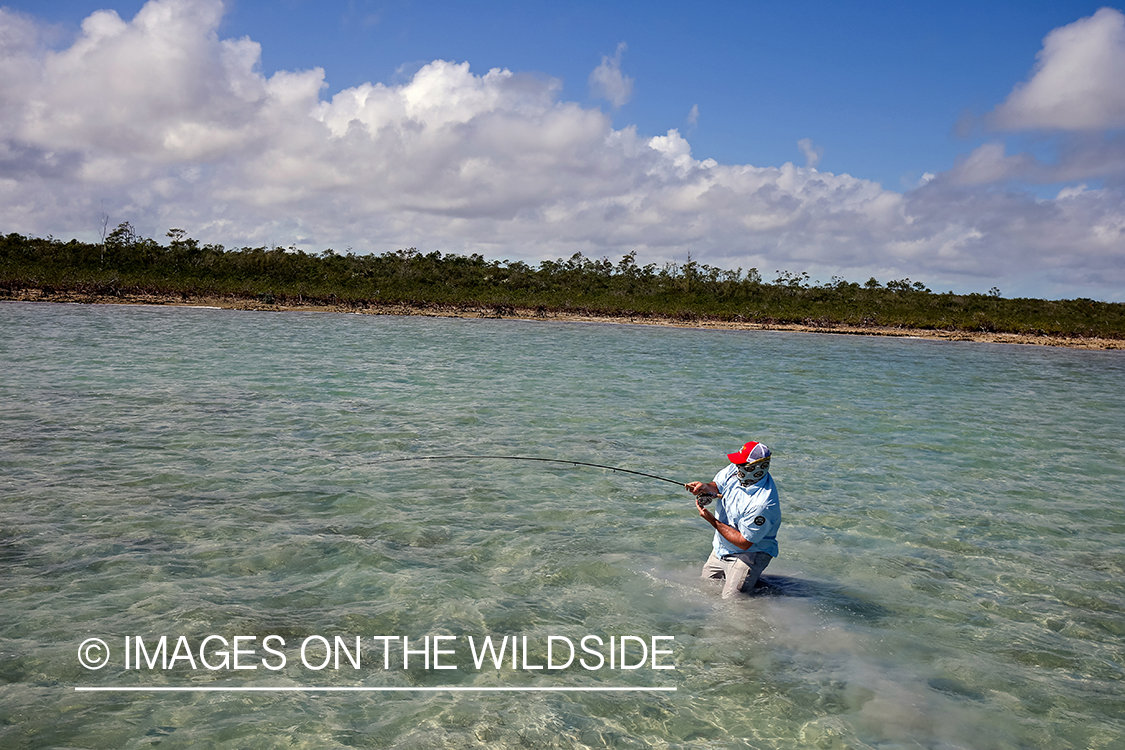 Flyfisherman fighting bonefish.