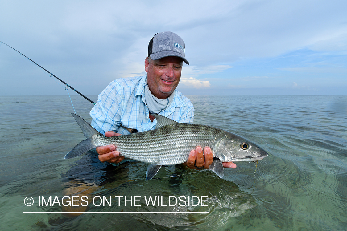 Flyfisherman releasing bonefish.