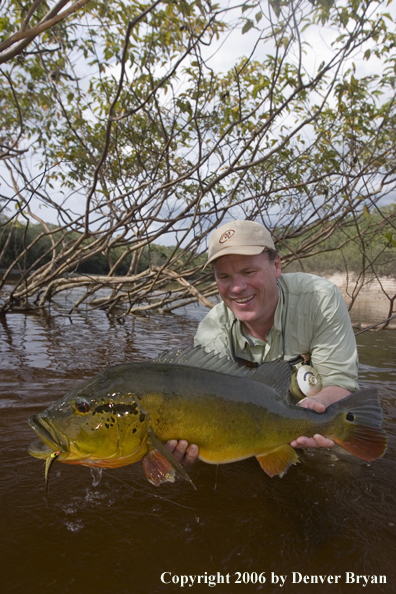 Fisherman holding Peacock Bass