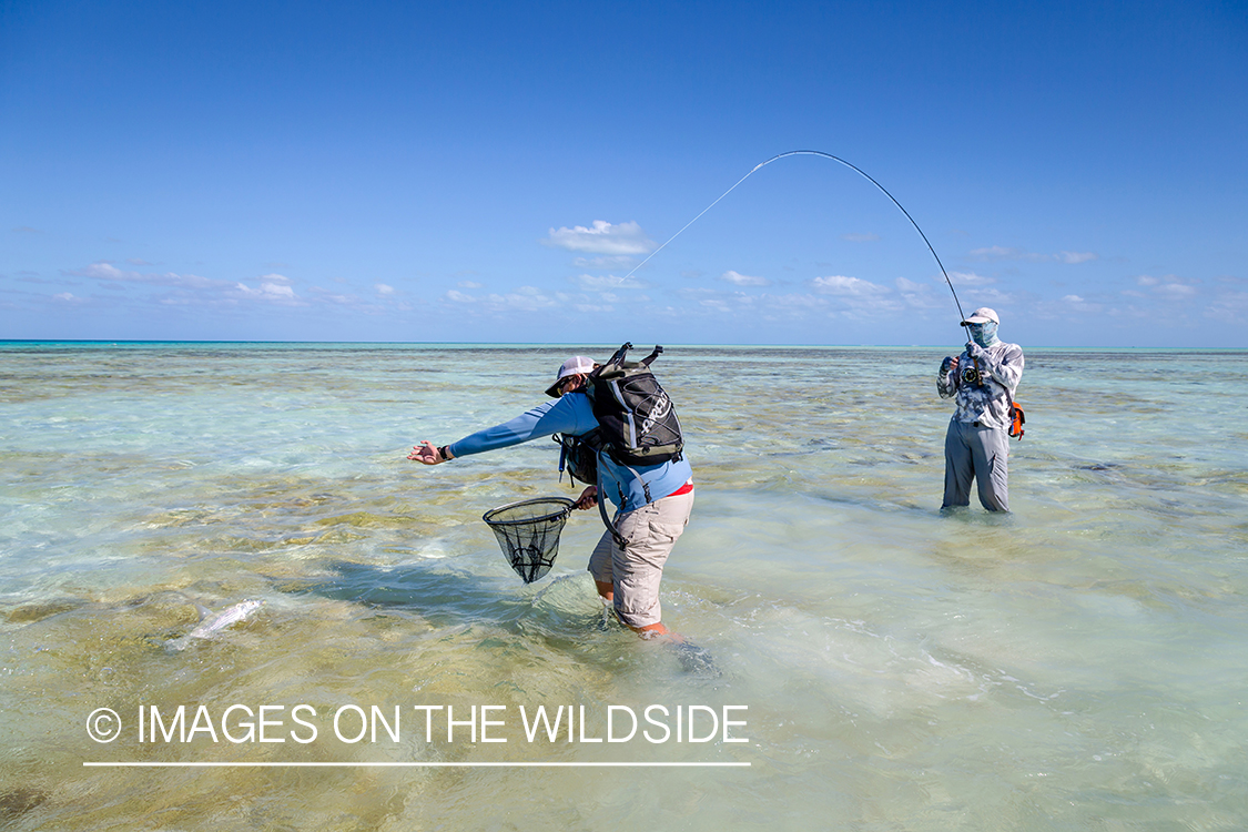 Flyfisherman catching fish on St. Brandon's Atoll flats.