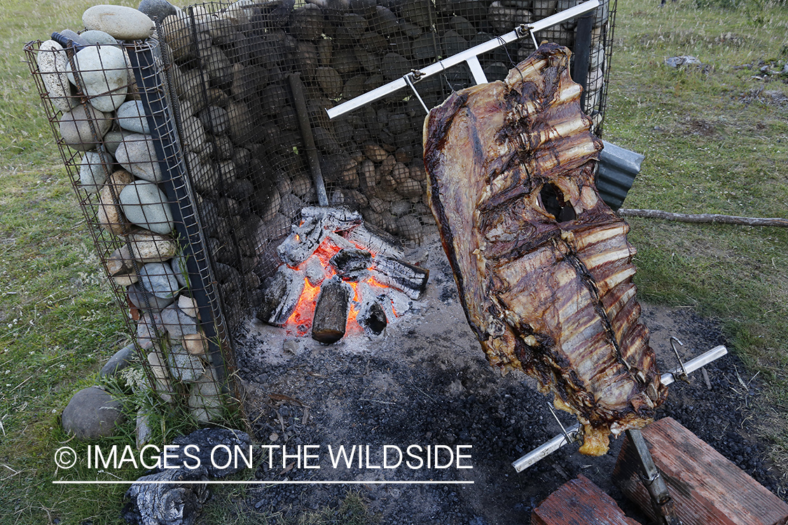 Asado (Patagonia bbq) cooking infront of fire coals.