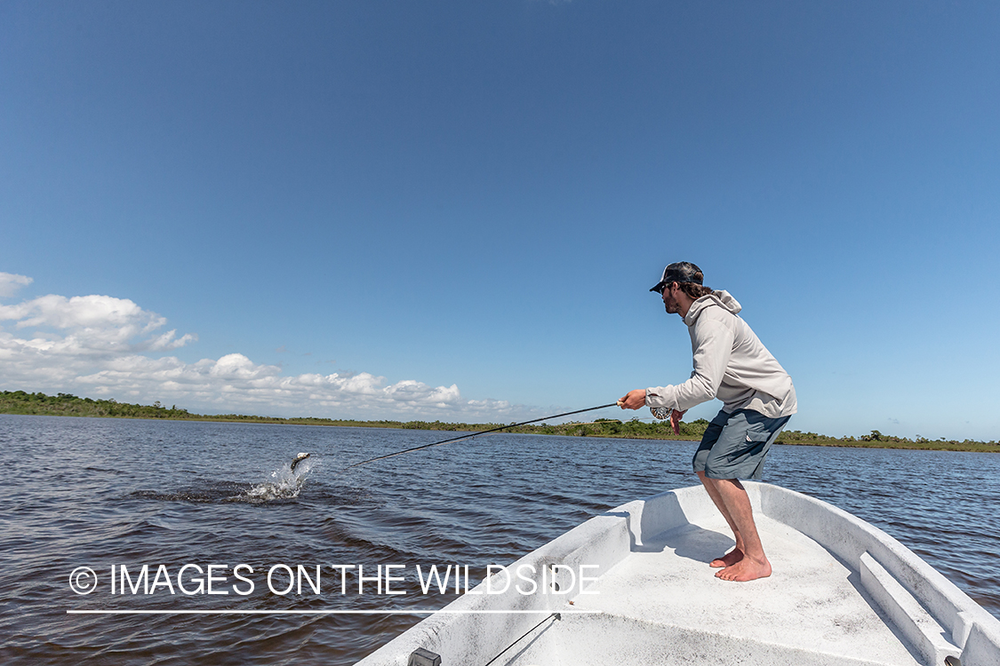 Saltwater flyfishing in Belize.