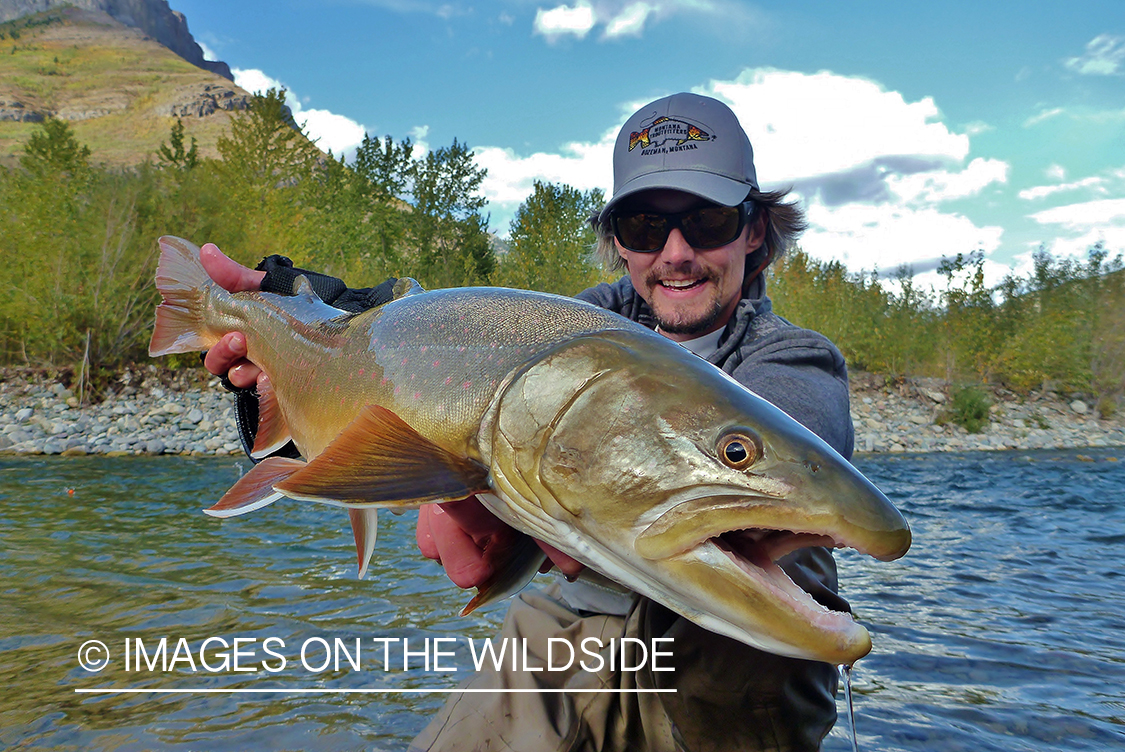 Flyfisherman with bull trout.