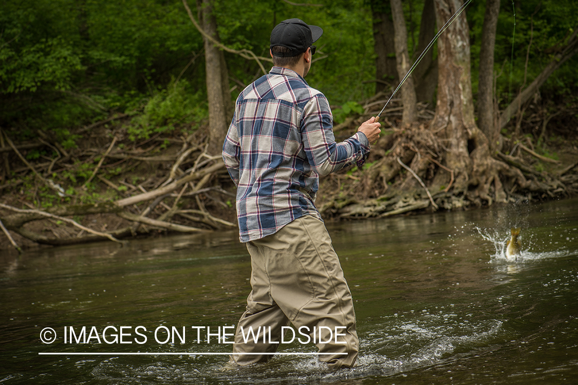 Flyfisherman with smallmouth bass on the line.