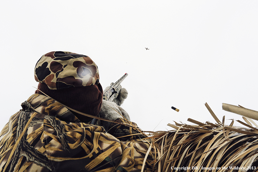 Waterfowl hunter shooting ducks.