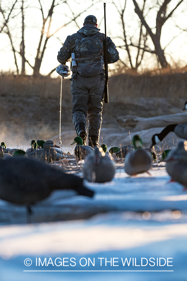 Waterfowl hunting