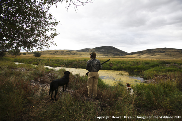 Dove Hunting