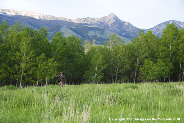 Turkey Hunter in Field