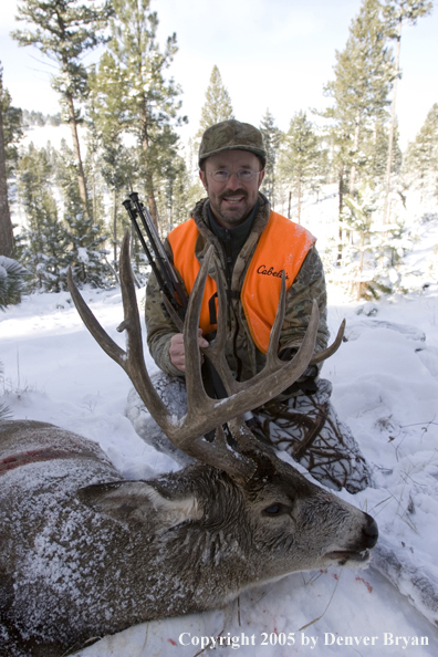 Mule deer hunter with downed buck.