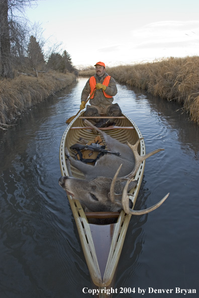 Big game hunter paddling canoe with bagged white-tailed deer in bow.