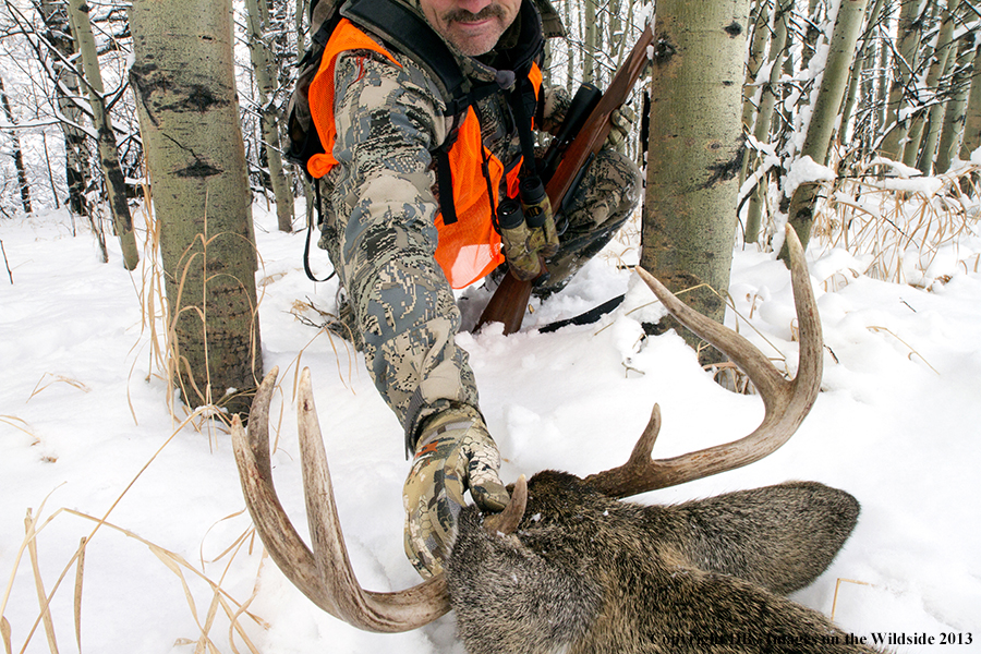 Hunter with bagged white-tailed deer.