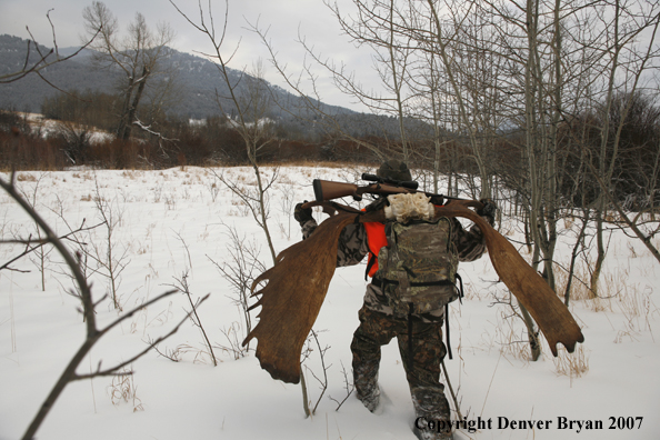 Moose hunter in field