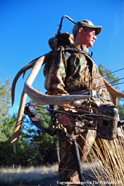 Bowhunter in field with elk rack.