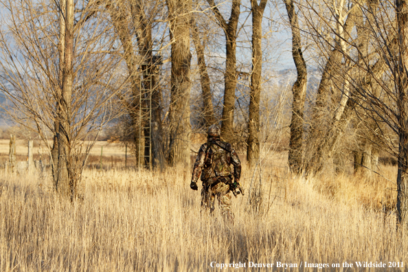 Bowhunter walking through field. 