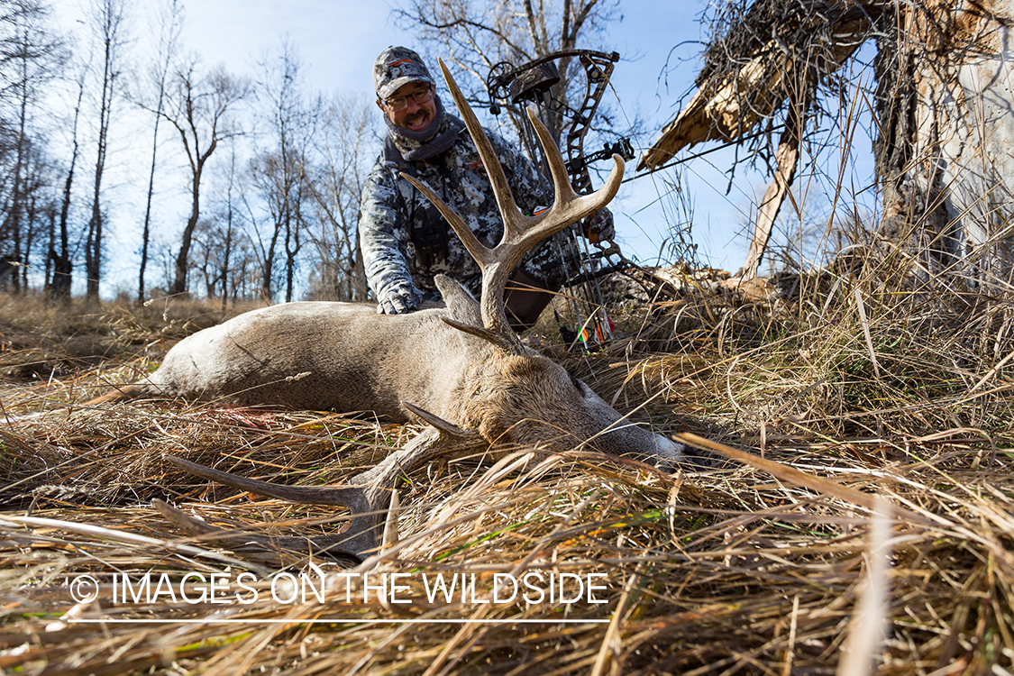 Bow hunter with downed white-tailed deer.