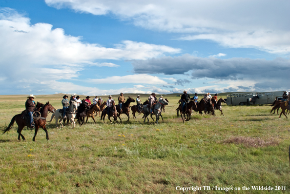 Cowboys and Cowgirls riding the range