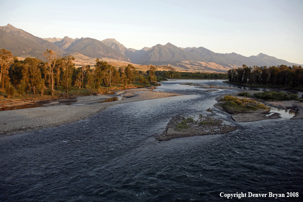 Yellowstone River, Paradise Valley Montana 