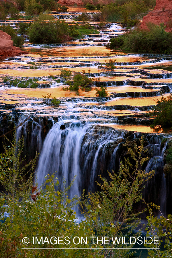 Small waterfall on Havasu Creek.