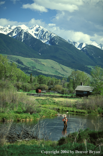 Flyfisherman casting in river.