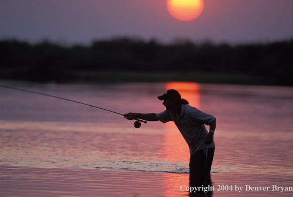 Woman flyfishing at sunrise/sunset.