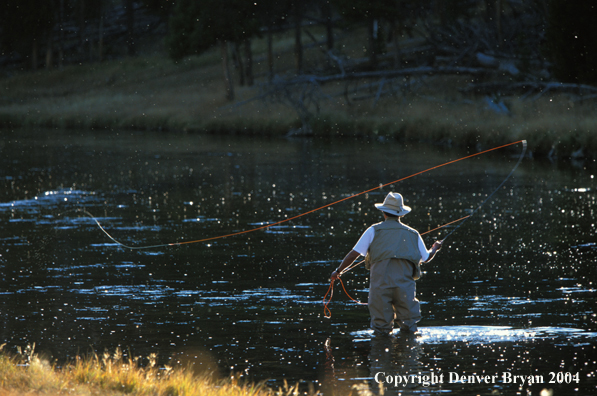 Flyfisherman casting during a hatch.