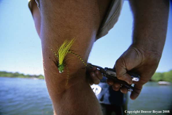 Flyfisherman with hook in leg