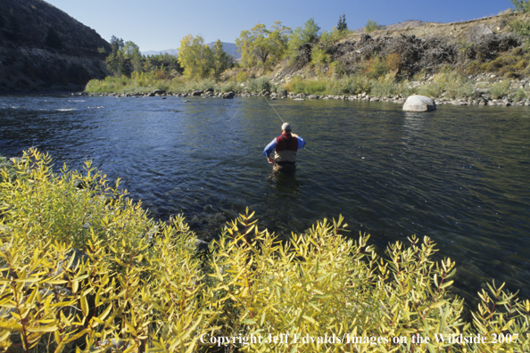 Angler fishes for steelhead