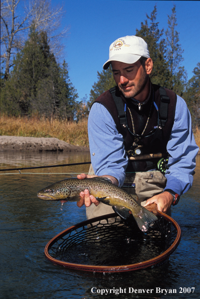 Flyfisherman releasing brown trout.