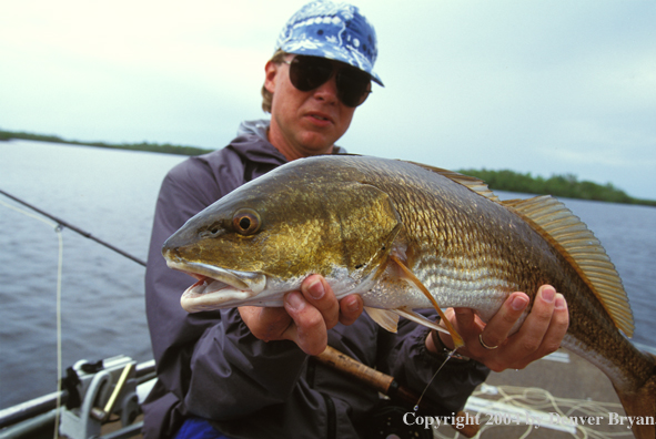 Flyfisherman with redfish.