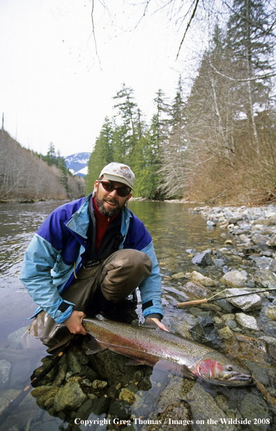 Flyfishing steelhead