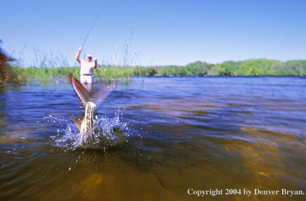 Flyfisherman fighting tigerfish. 