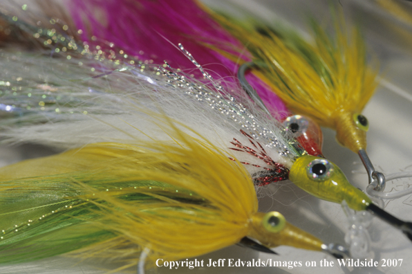 Close-up of tarpon flies