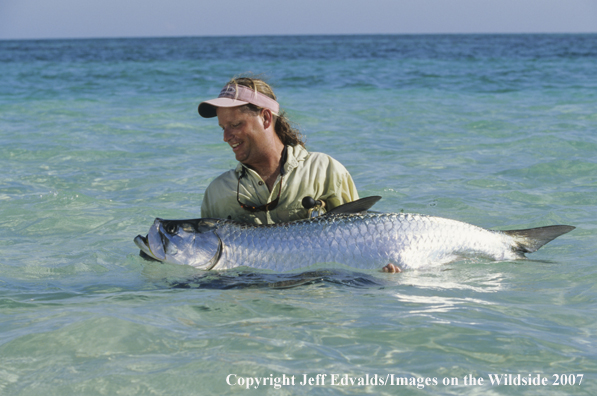 Tarpon