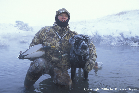 Waterfowl hunter with black Lab setting decoys. 