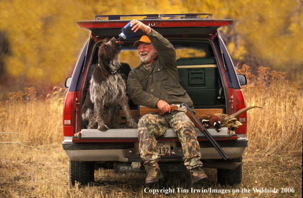 Upland game bird hunter and German Wirehair Pointer with bagged pheasant.  