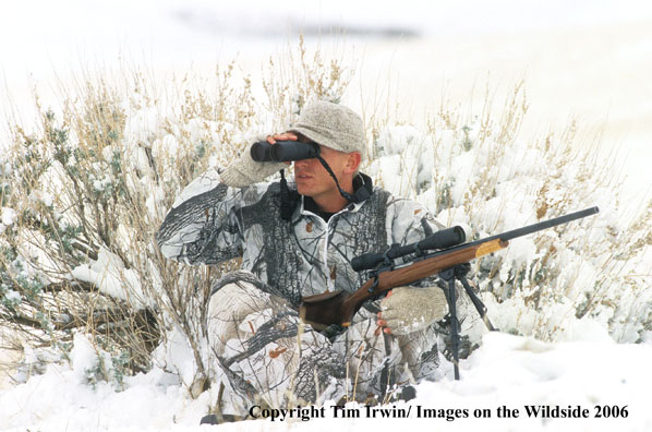 Hunter glassing for coyotes.