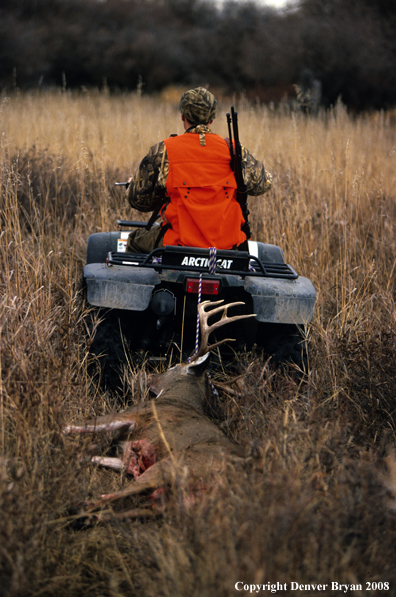 White-tailed deer hunter with downed deer