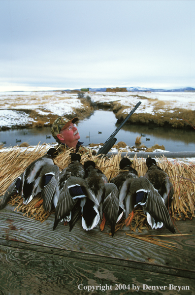 Waterfowl hunter and bagged ducks.