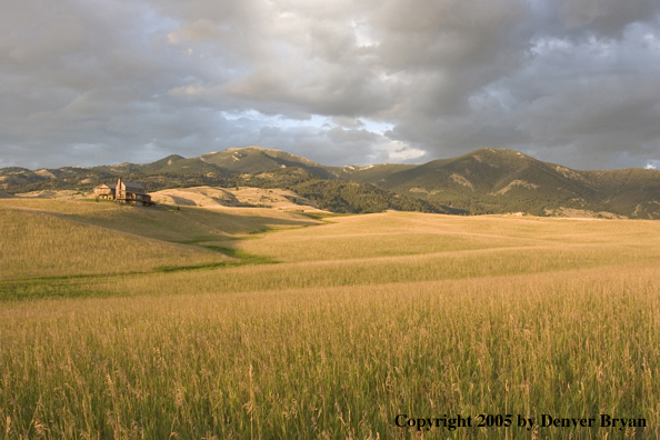 Landscape of Montana fields with a home in the background.