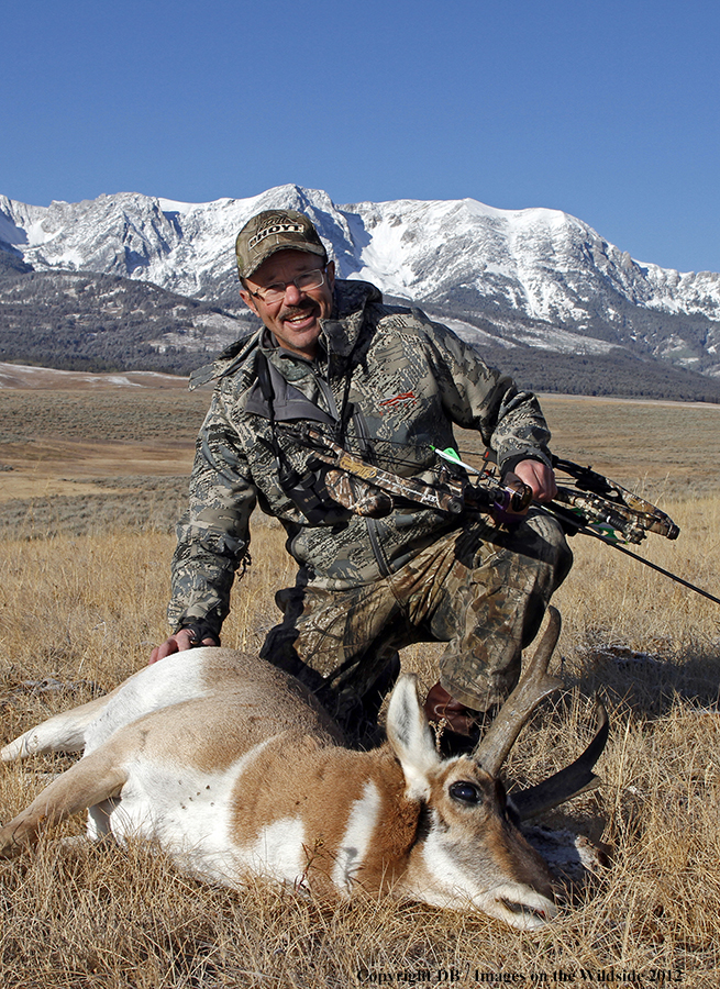 Bowhunter with downed pronghorned buck.
