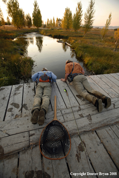 Flyfishermen peaking over creek bridge