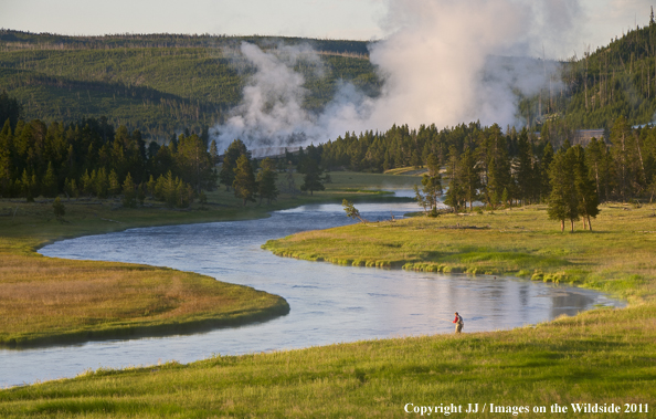 Flyfishing on the Firehole River, Yellowstone National Park. 