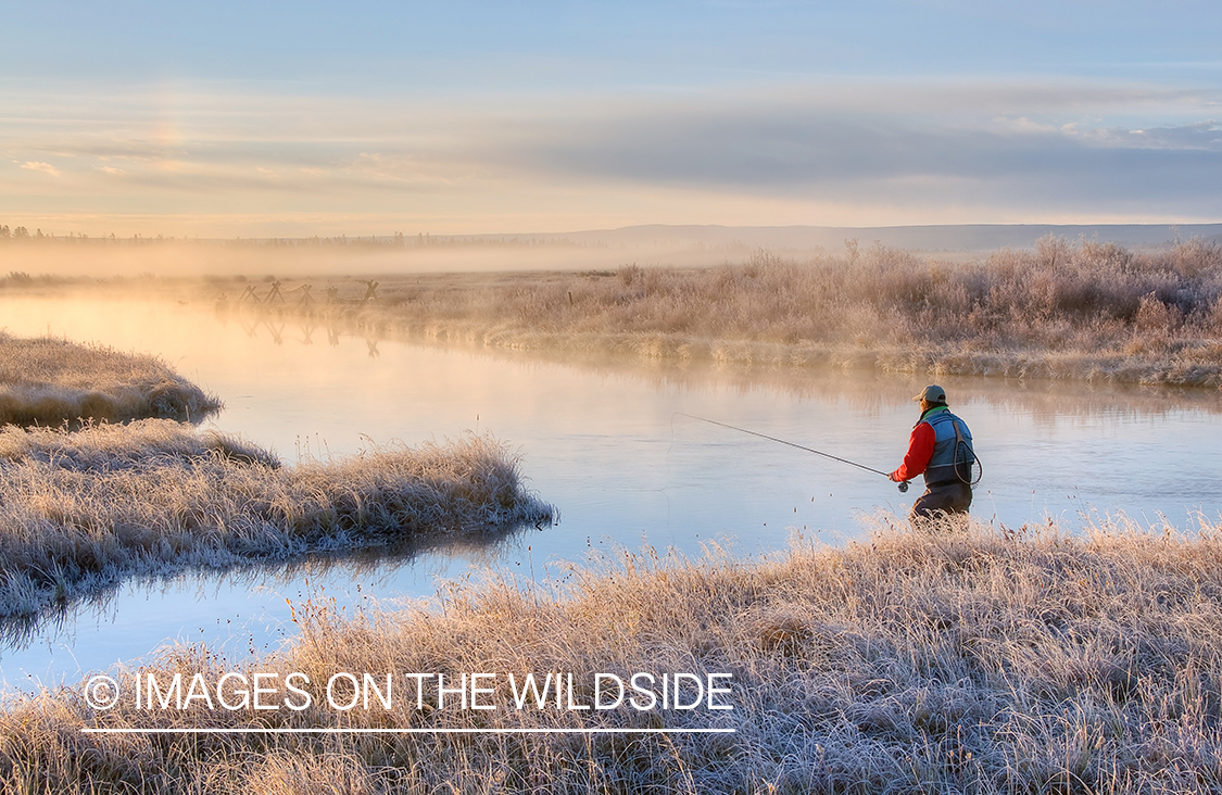 Flyfishing during sunrise on South Fork Madison, MT.