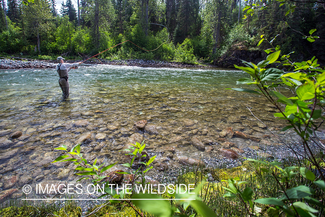 Flyfisherman spey casting on Nakina River, British Columbia.