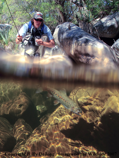 Flyfisherman fighting rainbow. Split-level shot